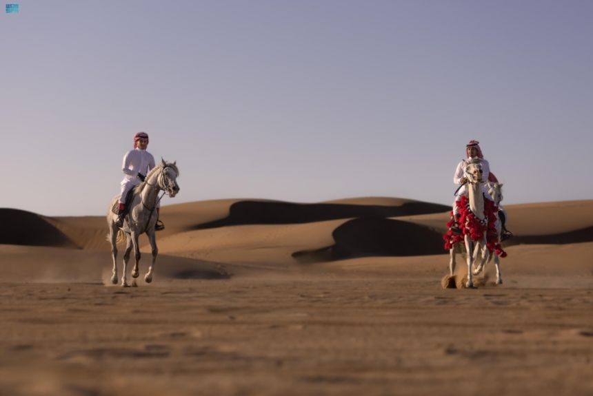 ركوب الخيل في أملج - واس