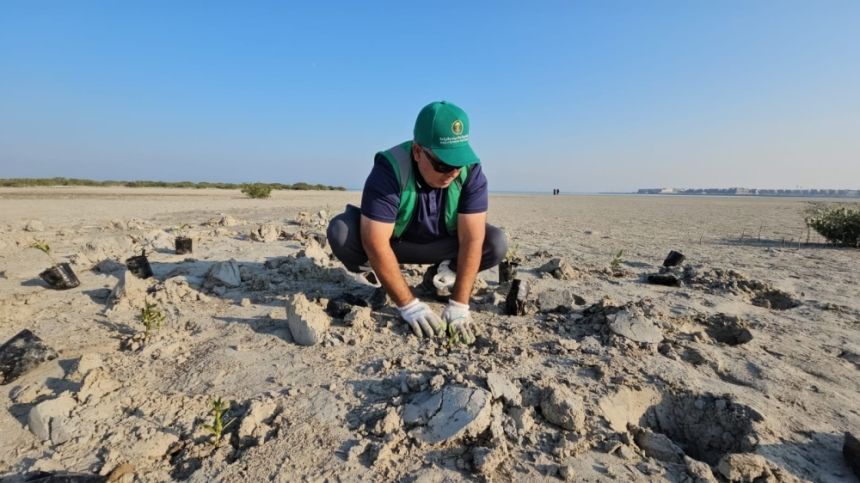 المركز الوطني لتنمية الغطاء النباتي يحتفي في شاطئ دانة الرامس بمناسبة يوم الغذاء العضوي