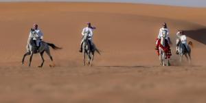 ركوب الخيل.. هواية عربية أصيلة تجذب الشباب في أملج - بوابة فكرة وي