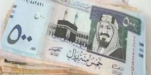 سعر الريال السعودي مقابل الجنيه المصري اليوم الأحد 3 نوفمبر 2024 - بوابة فكرة وي