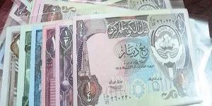 سعر الدرهم الإماراتي أمام الجنيه المصري اليوم الأحد 3 نوفمبر 2024 - بوابة فكرة وي