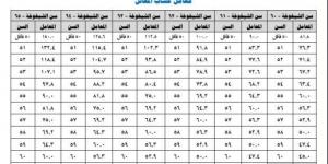 أسهل طريقة لحساب قيمة المعاش المبكر.. يحدده السن ومعامل التأمينات - بوابة فكرة وي