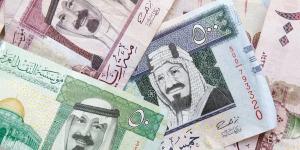 اسعار الريال السعودي اليوم الثلاثاء 12 نوفمبر 2024 مقابل الجنية المصري في مُختلف البنوك وفقاً لأخر تحديث مُعلن - بوابة فكرة وي