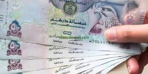 سعر الدرهم الإماراتي اليوم السبت 23-11-2024 في البنوك المصرية - بوابة فكرة وي