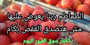 “مش هتصدق القفص وصل كام؟.. سعر الطماطم اليوم الاحد 24-11-2024 للتجار والمستهلكين - بوابة فكرة وي