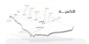 صرف 261 مليون ريال مستحقات الدفعة السادسة لمزارعي القمح المحلي - بوابة فكرة وي