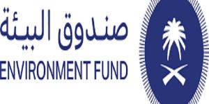 "أصدقاء البيئة".. مشروع نوعي يتجاوز المستهدفات ويعزز الوعي البيئي المجتمعي في المدارس - بوابة فكرة وي
