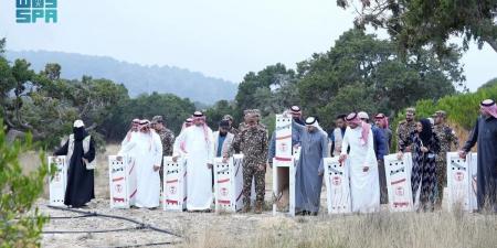 لتعزيز التنوع الأحيائي.. "الحياة الفطرية" تطلق 26 كائنًا مهددًا بالانقراض في متنزه السودة - بوابة فكرة وي