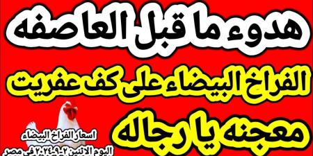 “ساسو بلدى”.. اسعار الفراخ البيضاء اليوم السبت 23-11-2024 فى الاسواق للمسهلكين والتجار - بوابة فكرة وي