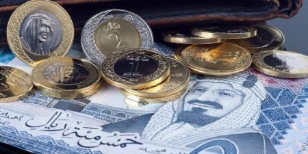 سعر الريال السعودي في مصراليوم.. الأحد 24-11-2024 - بوابة فكرة وي