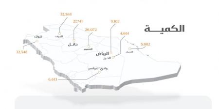 صرف 261 مليون ريال مستحقات الدفعة السادسة لمزارعي القمح المحلي - بوابة فكرة وي