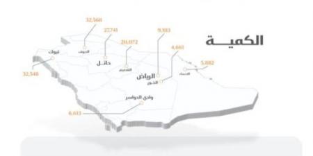 الأمن الغذائي : صرف 261 مليون ريال مستحقات الدفعة السادسة لمزارعي القمح المحلي - بوابة فكرة وي