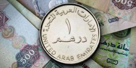 سعر الدرهم الإماراتي في مصر اليوم.. الثلاثاء 26-11-2024 - بوابة فكرة وي