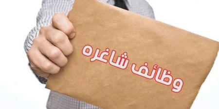 الشباب والرياضة تعلن عن وظائف بسلسلة مطاعم كبرى.. الشروط وطريقة التقديم - بوابة فكرة وي