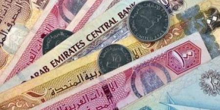 سعر الدرهم الإماراتى اليوم الجمعة 29-11-2024 فى البنوك المصرية - بوابة فكرة وي