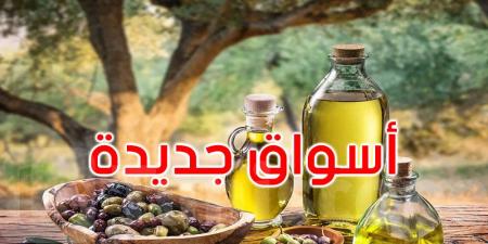 تونس تعزز صادرات زيت الزيتون المعلب بتوسيع أسواقها نحو الصين وبريطانيا - بوابة فكرة وي