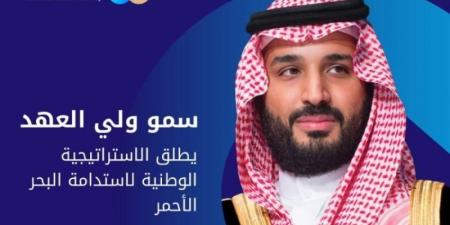 ولي العهد يطلق الإستراتيجية الوطنية لاستدامة البحر الأحمر - بوابة فكرة وي