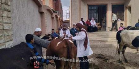 قافلة تنموية شاملة بقرية ششت الأنعام بإيتاي البارود - بوابة فكرة وي