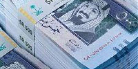 مستقر.. سعر الريال السعودي مقابل الجنيه المصري - بوابة فكرة وي