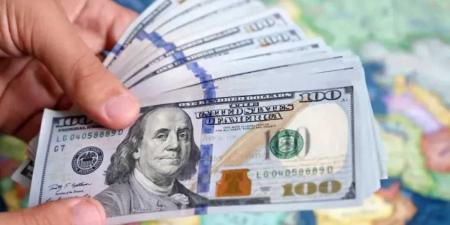 الدولار يستقر أمام الجنيه المصري اليوم.. تعرف على أسعار البنوك وتفاوتها الطفيف 1 يوليو 2025 - بوابة فكرة وي