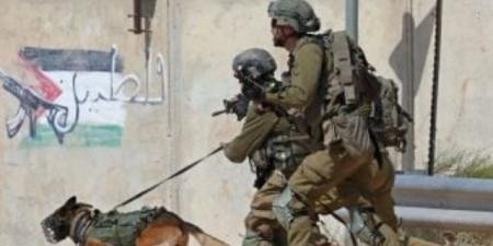 جيش الاحتلال: فصلنا حماس عن مناطق كثيرة فى غزة ونمنعها من استعادة قوتها - بوابة فكرة وي