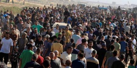 يونيسيف : 90% من سكان قطاع غزة يواجهون انعداما حادا فى الأمن الغذائى - بوابة فكرة وي