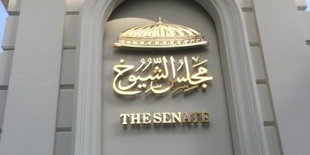 تفاصيل مشاركة تنسيقية شباب الاحزاب باجتماع القائمة الوطنية - بوابة فكرة وي