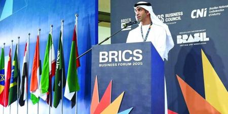 الإمارات تسلط الضوء على فرص التعاون التجاري بين دول «بريكس» - بوابة فكرة وي