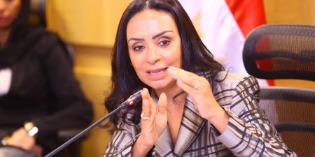 وزيرة التضامن: الإعلام شريك رئيسي في تحقيق العدالة الاجتماعية - بوابة فكرة وي