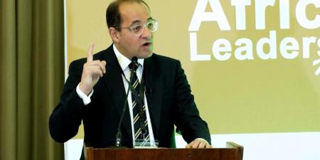 كجوك: مصر بقيادتها وقدراتها واقتصادها ستظل مدخلاً هامًا لدول أفريقيا للسوق الأوروبية والآسيوية - بوابة فكرة وي