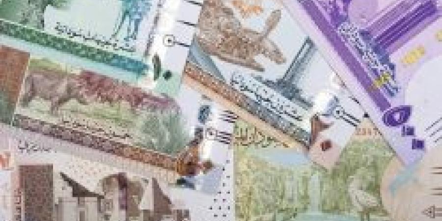 سعر الجنيه السوداني مقابل الريال السعودي اليوم الأحد 3 نوفمبر 2024 - بوابة فكرة وي