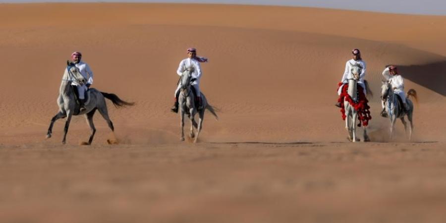 ركوب الخيل.. هواية عربية أصيلة تجذب الشباب في أملج - بوابة فكرة وي