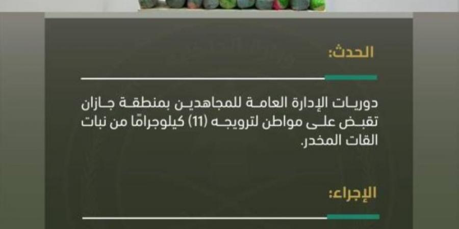 "دوريات المجاهدين" بجازان تقبض على مواطن لترويجه (11) كلجم من القات المخدر - بوابة فكرة وي