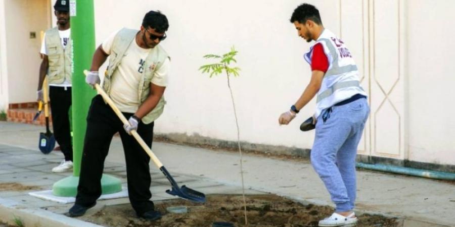 "ملكية ينبع" تطلق مبادرة "أحياؤنا خضراء" - بوابة فكرة وي