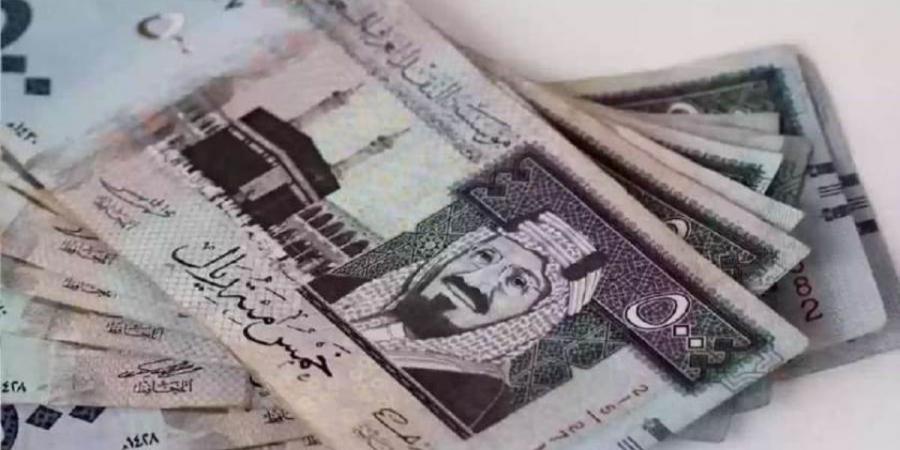 سعر الريال مقابل الجنيه المصري والعملات العربية اليوم الإثنين 2-5-1446 - بوابة فكرة وي