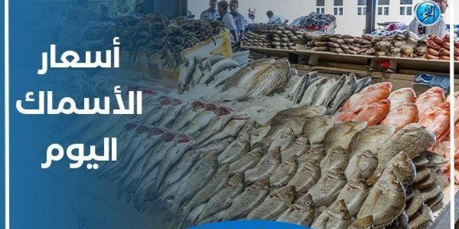 أسعار السمك اليوم الثلاثاء 5-11-2024 في محافظة قنا - بوابة فكرة وي