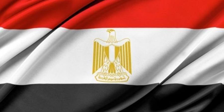 مصر تنضم للخطاب الموجه إلى الأمم المتحدة للمطالبة بوقف تصدير الأسلحة إلى إسرائيل - بوابة فكرة وي