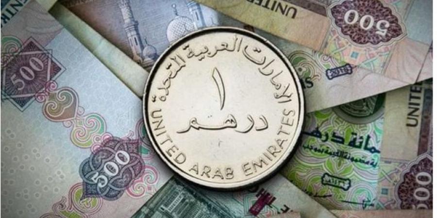 سعر الدرهم الإماراتي في مصر اليوم.. الخميس 7-11-2024 - بوابة فكرة وي