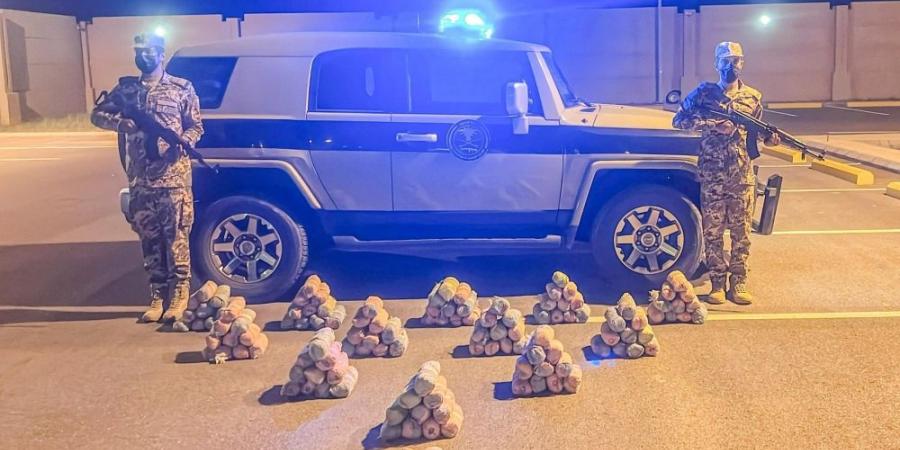 عسير.. حرس الحدود بمنطقة يحبط تهريب 80 كيلوجرامًا من القات المخدر - بوابة فكرة وي