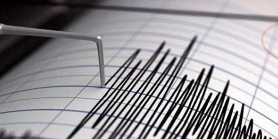 زلزال بقوة 6.1 درجات يضرب بابوا نيو غينيا الجديدة - بوابة فكرة وي