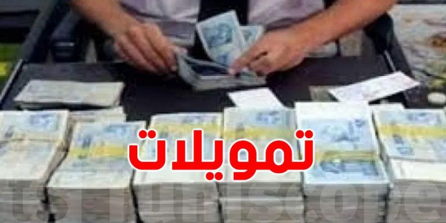 البنك التونسي للتضامن يقدّم قروضا بدون ضمانات لفائدة هؤلاء - بوابة فكرة وي