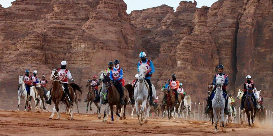 العُلا تحتضن كأسي اللجنة الأولمبية والبارالمبية والشباب والناشئين للقدرة والتحمل - بوابة فكرة وي