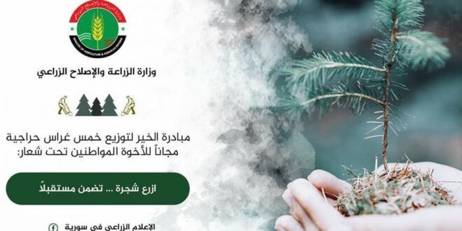 تستهدف توزيع نحو 500 ألف غرسة… الزراعة توضح آلية تنفيذ حملة ‏الخمس غراس المجانية - بوابة فكرة وي