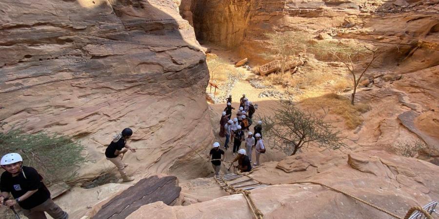 "وادي النعام".. تجربة استثنائية ورحلة عبر الزمن تُعيد كتابة تاريخ حضارة دادان - بوابة فكرة وي