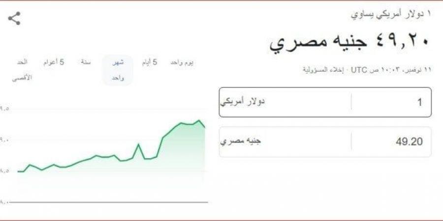 سعر الدولار مقابل الجنيه المصري في منتصف تعاملات اليوم الاثنين 11 نوفمبر 20024 - بوابة فكرة وي