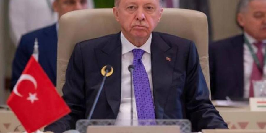 أردوغان بقمة الرياض: هدف إسرائيل استيطان غزة وتدمير وجود فلسطين بالضفة - بوابة فكرة وي