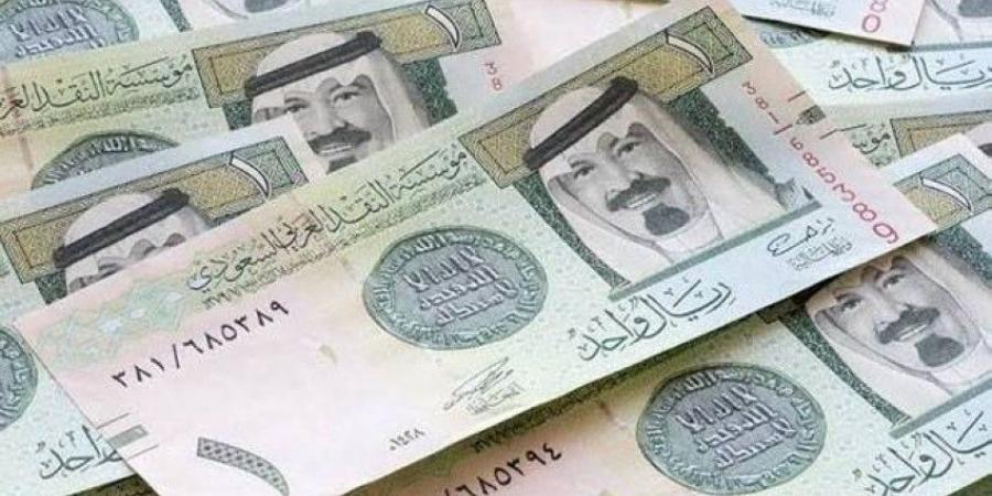 لحظيا.. سعر الريال السعودي اليوم في البنك الأهلي والبنوك الأخرى السبت 11 نوفمبر 2024 - بوابة فكرة وي