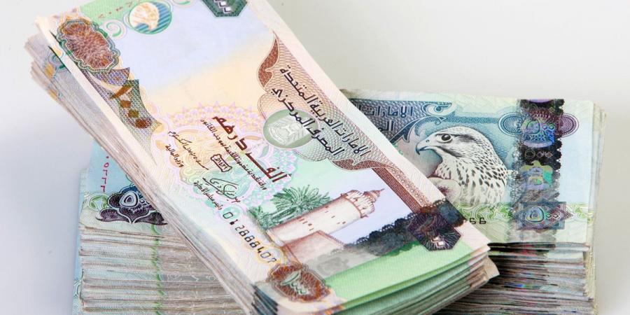 سعر الدرهم الإماراتي مقابل الجنيه المصري اليوم داخل البنوك المصرية.. الإماراتي متذبذب - بوابة فكرة وي