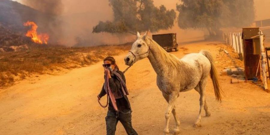 صور| فرق الإطفاء تكافح حرائق غابات في شمال شرق الولايات المتحدة - بوابة فكرة وي