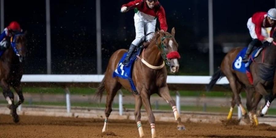 برعاية أمير منطقة الرياض .. نادي سباقات الخيل ينظم كأس الأمير محمد بن سعود الكبير - بوابة فكرة وي